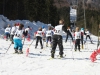 Salzkammergut-Langlauf-Cup-Finale in Bad Goisern