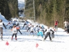 Salzkammergut-Langlauf-Cup-Finale in Bad Goisern