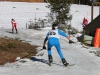 Salzkammergut-Langlauf-Cup-Finale in Bad Goisern