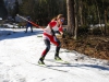 Salzkammergut-Langlauf-Cup-Finale in Bad Goisern