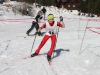 Salzkammergut-Langlauf-Cup-Finale in Bad Goisern