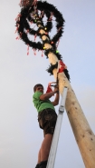 Landjugend Gschwandt stellt Maibaum auf Maibaum aufstellen LJ Gschwandt