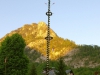 maibaum-ff-rindbach-14