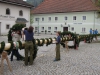 Maibaumsetzen – seit vielen Jahren ein traditionelles Feuerwehrfest