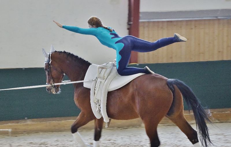 Voltigieren in der Reithalle Gschwandt - salzi.at ...