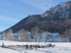 Panzerigel schützen nach Felssturz in Grünau