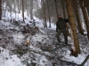 Panzerigel schützen nach Felssturz in Grünau