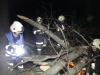 Person nach Forstunfall gepfählt - Ohlsdorfer Feuerwehr übt Ernstfall