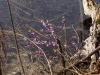 Raus in die Natur, der Frühling ist da