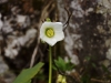 Raus in die Natur, der Frühling ist da