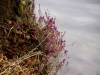 Raus in die Natur, der Frühling ist da