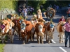 Reigen der Almabtriebe ging in Bad Ischl zu Ende