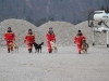 Rettungshundebrigade trainiert Ernstfall in Ebensee