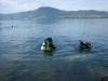 Seereinigungsaktion im Attersee