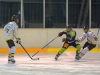 sharks2-vs-penguins-c-sommer-5