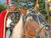 Traditionsfest der Pferdefreunde im Schlosspark Ebenzweier
