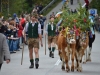 Almabtrieb in St. Wolfgang