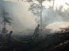 Waldbrand im Weißenbachtal