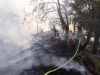 Waldbrand im Weißenbachtal