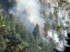 Waldbrand in Steinbach am Attersee