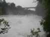 Wassermassen am Traunfall