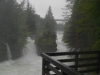 Wassermassen am Traunfall