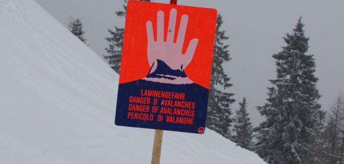 Foto: Salzi