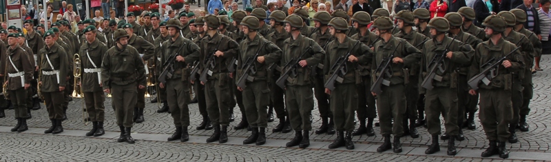 406 Soldaten werden in Timelkam angelobt