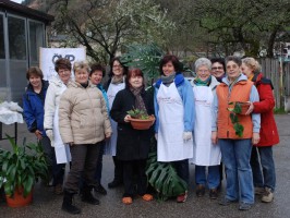 Ebensee: Frühlings-Pflanzenflohmarkt ein sonniger Erfolg