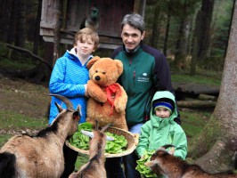 Herzteddy macht Rast im Wildpark Grünau