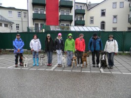 Psv-Hundeschule-Bad Ischl vom Trainingsgelände ins Stadtzentrum