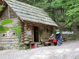 BELTANE - Frühlingserwachen am Kelten.Baum.Weg