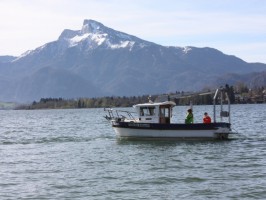Musterdesign oder Gewässerforschung am Mondsee