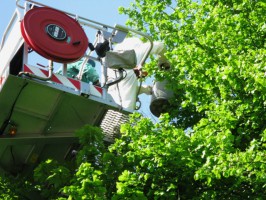 Feuerwehr Bad Goisern war vielseitig gefordert