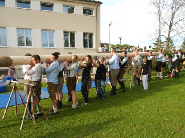 Gmunden: Maibaum aufstellen mit Hindernissen | Foto: Turnverein Gmunden