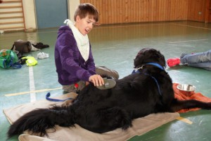 Therapiehund Emma begeistert im Heilpädagogischen Hort