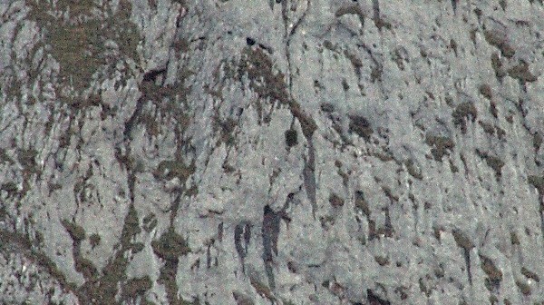Schwierige Rettungsaktion zweier Vöcklabrucker Alpinisten am Untersberg | Foto: aktivnews.de