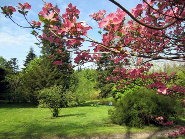 Botanischer Garten Frankenburg lädt zum Picknick ein