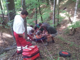 Schwerer Forstunfall am Pinsdorfberg