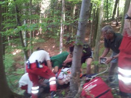 Schwerer Forstunfall am Pinsdorfberg