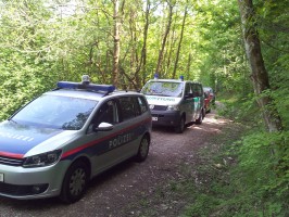 Schwerer Forstunfall am Pinsdorfberg