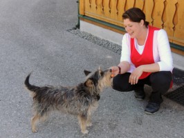 Gipsy hats getestet - Vieh Heli in Gosau hat die beste Wurst