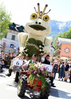 22.000 begeisterte Zuschauer beim Narzissenfest 2012