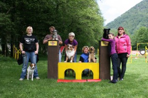 Vierbeiner in der Hundeschule Bad Ischl auf dem Prüfstand