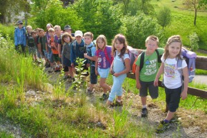 Volksschule Kirchham für "Österreichischen Klimaschutzpreis" nominiert