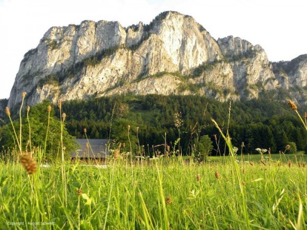 Mondsee: Russischer Basejumper tödlich verunglückt