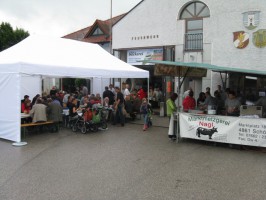 Frühschoppen der Feuerwehr Schörfling