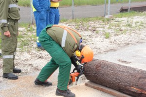 Forst-Fachschulung für Ohlsdorfer Florianis