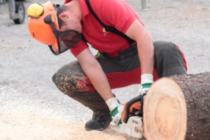 Forst-Fachschulung für Ohlsdorfer Florianis