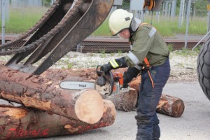 Forst-Fachschulung für Ohlsdorfer Florianis